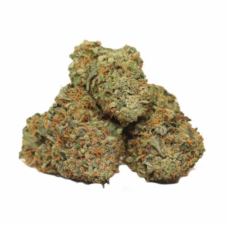 Tropicana Banana Strain