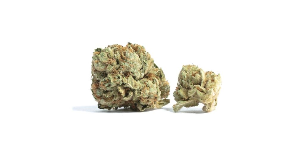 Cherry Garcia Strain